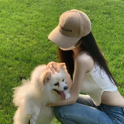 夏绿蒂的网